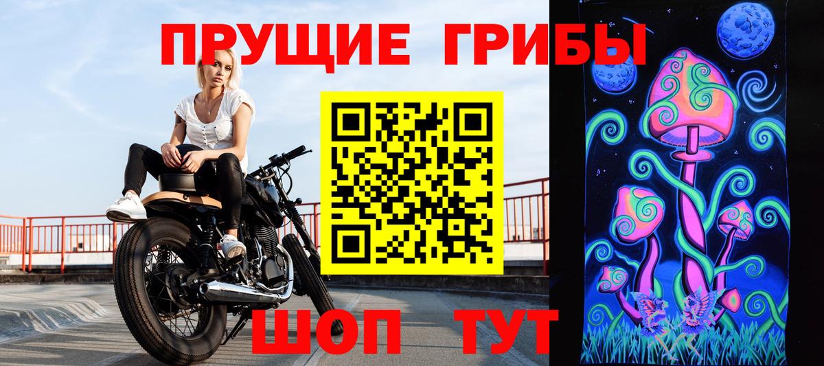 Псилоцибиновые грибы мицелий  Псилоцибиновые грибы мицелий  Вход с VPN  Абинск 